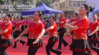 2016合肥市全民运动广场舞比赛获奖舞蹈 追梦艺术团《中国美》