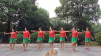 樟树曼哈顿杨小英舞蹈分队，春英广场舞，《中国牛》更多精彩，尽在优酷。