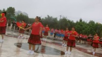 东阿县一六年八月八日”全民徤身日”优秀节目：广场舞《喜从心中来》东升徤身队