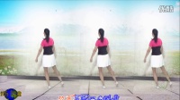 建群村广场舞《DJ爱不起》步子舞  演示制作；彩云追月    2016年最新广场舞带歌词