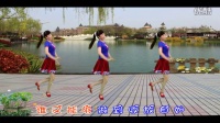 【情为何物】 简单广场舞教学 广场舞视频