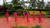 中国歌最美广场舞 背面分解动作最新2
