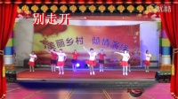 新概念广场舞展演【嗨起来】字幕；范家庄新概念舞蹈队3队