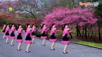 菊荣广场舞《粉红色的回忆》16步