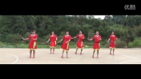 《想西藏》 简单广场舞教学 广场舞视频