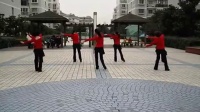 踏浪舞蹈视频 踏浪广场舞视频 广场舞踏浪16步