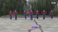 粉红的玫瑰 广场舞蹈视频大全 2016最新广场舞