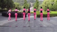舞动中国广场舞 广场舞生活视频 舞动中国12人队形