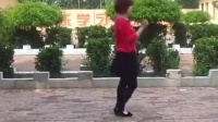 前枣林广场舞 迪斯科舞厅 - 糖豆网广场舞视频大全