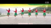 《欢歌起舞》 简单广场舞教学 广场舞视频