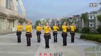 2016最新广场舞大全 生活  中老年广场舞教学