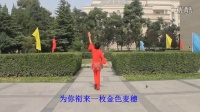 洪宝广场舞《今天是你的生日我的中国》教学篇66