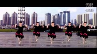 【2013015】惠汝广场舞-妹妹的情歌（附分解动作）fi0最火广场舞