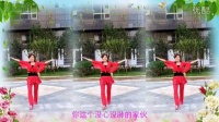 2016最新爱风姐妹广场舞《狠透你》