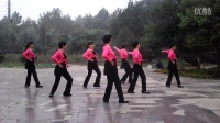 新汶花园英花广场舞---水兵舞
