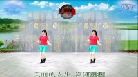 2016龙川县思念广场舞个人版演示：萧洒人生。制作：阿彭