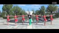 《山城之歌》 简单广场舞教学 广场舞视频