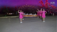 百花候鸟广场舞：《红雪莲》