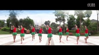 《酸酸甜甜的思念》 简单广场舞教学 广场舞视频