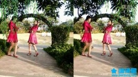 湖南攸县小曼广场舞【相思的夜i】双人对跳；制作；白玫瑰；演示；白玫瑰；曼姑