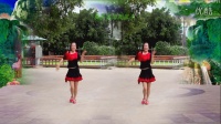 红领巾蝶舞芳香广场舞 《在他乡 》