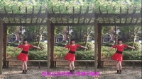 龙水湖完美广场舞传递正能量 编舞 丽萍 舞媚娘手机制作
