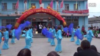 兴化市唐刘健身队《第五套秧歌扇子舞》 广场舞