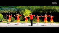 《阿爸的草原》 简单广场舞教学 广场舞视频