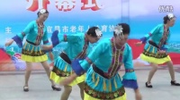 2016宜昌市中老年人广场健身舞展示【夷陵代表队】