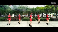 《DJ相亲情歌》 简单广场舞教学 广场舞视频