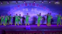 雷美广场舞--百寿清荷舞蹈队表演舞蹈--《月亮女儿》