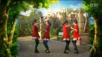 蚌埠市龙湖春天丽达广场舞自编双人广场舞 （全 民 情歌）34步
