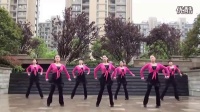红玉广场舞2016最新广场舞《格桑花儿开》