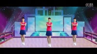 《雪莲》 简单广场舞教学 广场舞视频