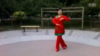 天津云霞广场舞（个人版） 语花蝶 编舞：新风尚广场舞