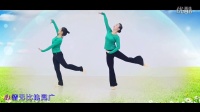 《酒歌飘香》 简单广场舞教学 2016最新广场舞视频