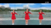 《扭一下》 简单广场舞教学 2016最新广场舞视频