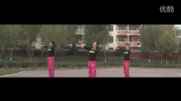 《情人鹤顶红》 简单广场舞教学 2016最新广场舞视频