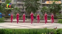 杨丽萍广场舞《跳动的旋律》搏击健身操风格