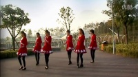 蚌埠市龙湖春天丽达广场舞（－路歌唱）步子舞32步原创