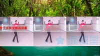 鄱阳县银宝湖乡于桂文广场舞我用胡琴和你说话-----鄱阳丰子工作室作品