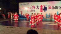 光大杯海垦广场舞——《想西藏》