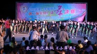 嘉禾县广场舞大赛：农业局代表队
