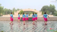 杨丽萍广场舞歌在飞广场舞