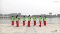 简单舞蹈教学广场舞生活视频