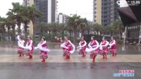 海南现代花园女人花广场舞 欢乐的海洋 表演