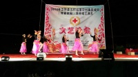2016年12月10日，广西壮族自治区百色市田阳县城乡艺术团在五村镇康华村表演舞蹈《草裙舞》。