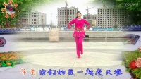 滨海新城梅花舞韵广场舞《一起走天涯》习舞：海珍；编舞：青儿