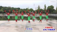 杨丽萍广场舞舞动人生广场舞生活视频