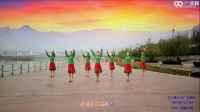 《盛开的马兰花 表演》陕西汉中紫水晶广场舞